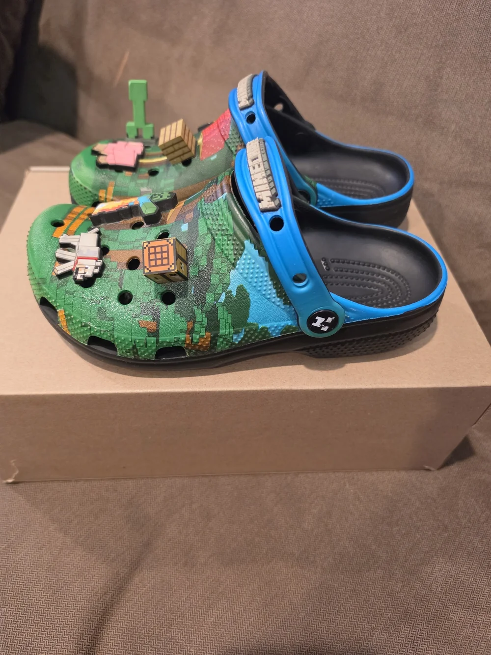 Minecraft Kids Crocs